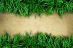 Fresh Green Grass On Sand Stone Stock Photo