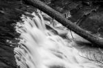 Liffey Falls In The Midlands Region, Tasmania Stock Photo