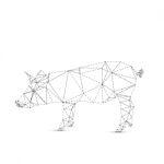 Abstract Pig Stock Photo