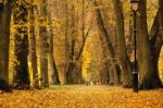 Autumn October Colorful Park. Foliage Trees Alley Stock Photo