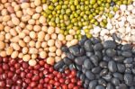 Various Colorful Dried Legumes Beans As Background Stock Photo