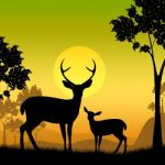 Deer Wildlife Indicates Safari Animals And Evening Stock Photo