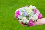 Hand Giving Bouquet Of Summer Flowers In Vase Stock Photo