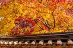 Roof Of Gyeongbukgung And Maple Tree In Autumn In Korea Stock Photo