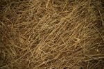 Straw Background  Stock Photo