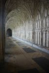 The Cloister In Gloucester Cathedral Stock Photo