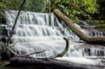 Liffey Falls In The Midlands Region, Tasmania Stock Photo