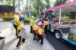 Primary Students Visit The Zoo, In The Jul 27, 2016. Bangkok Thailand Stock Photo