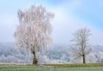 Freezing Fog Stock Photo