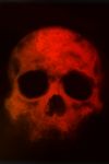 Skull Stock Photo