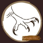 Illustration Of Eagle Claw, Hawk Bird Stock Photo