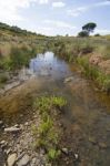 Beautiful Spring View Of A Countryside Stream Of Water Located In Portugal Stock Photo