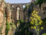 Ronda, Andalucia/spain - May 8 : View Of The New Bridge In Ronda Stock Photo