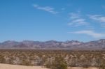 Rail Transport In The Desert Stock Photo