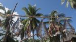 Dried Fish Stock Photo