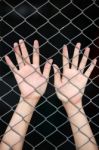 Hand In Jail Stock Photo