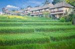 Rice Terrace And Village Stock Photo