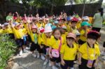 Kindergarten Students Visit The Zoo, In The Jul 15, 2016. Bangkok Thailand Stock Photo