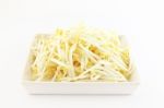 Bean Sprout Stock Photo