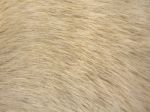 Dog Fur Texture Stock Photo