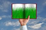 Green Grass In Book And Wooden Sign Stock Photo