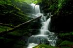 Deep Forest Waterfall Stock Photo