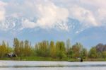 Srinagar, India - April 15 2016: Lifestyle In Dal Lake Stock Photo