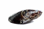 Blue Mussel Bivalve Stock Photo