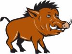 Razorback Side Cartoon Stock Photo