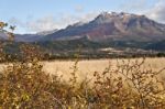 Autumn Colors In El Boliche, Bariloche, Patagonia, Argentina Stock Photo