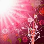 Sun Sunrays Shows Florals Beam And Floral Stock Photo