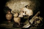 Still Life With A Skull Stock Photo