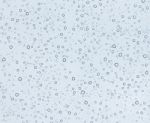 Water Bubbles On Glass Blue Background Stock Photo