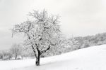 Winter Landscape Stock Photo