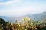 Grass On The Mountain Stock Photo