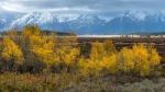 Autumn In The Grand Tetons Stock Photo