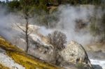 Mammoth Hot Springs In Yellowstone National Park Stock Photo