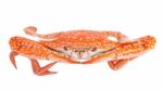 Steam Food Crab On Dish Stock Photo