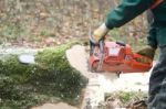 Lumberjack At Work Stock Photo