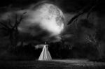 Ghost Woman In White Dress In Creepy Forest,3d Illustration Stock Photo