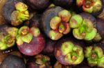 Mangosteen Stock Photo