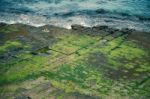 Tessellated Pavement In Pirates Bay Stock Photo