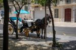 Traditional Horse And Carriage Waiting For Customers In Malaga Stock Photo