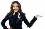 Charming Flight Stewardess Presenting Copy Space Stock Photo