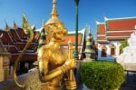 Golden Demon Guardian At Wat Phra Kaew, Bangkok Stock Photo