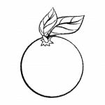 Line Drawing Of Orange With Leave -simple Line Stock Photo