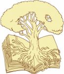 Oak Tree Rooted On Book Drawing Stock Photo