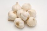 Garlic Stock Photo