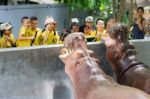 Primary Students Visit The Zoo, In The Jul 27, 2016. Bangkok Thailand Stock Photo