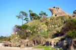 A General View Of El Aguila (the Eagle), Atlantida, Uruguay Stock Photo